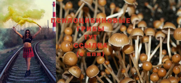 эйфоретик Кинешма