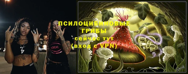 эйфоретик Кинешма