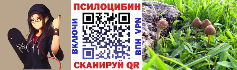 где найти   Ессентукская  Псилоцибиновые грибы ЛСД 